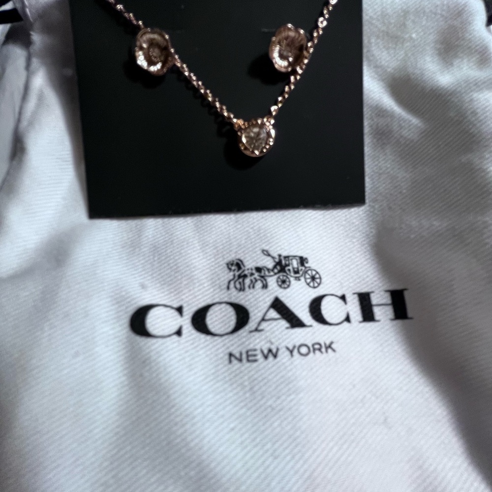 Coach stone tea rose set